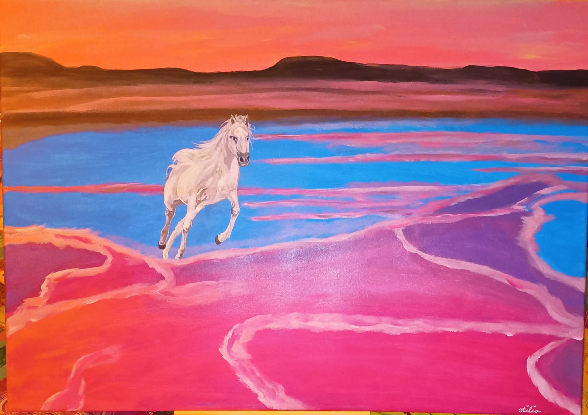 La Camargue y su Caballo Blanco